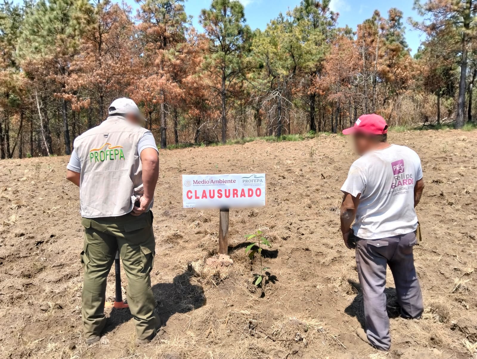 Conservación, uso y crimen organizado (por una Profepa ''con dientes'')